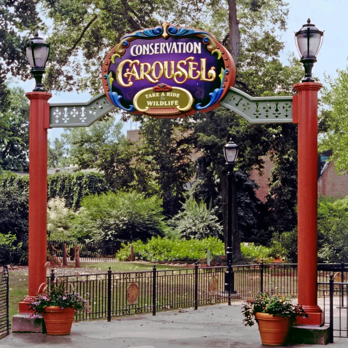 carousel_retouched